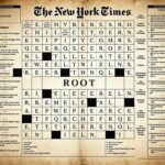 Root Used in Perfumery NYT