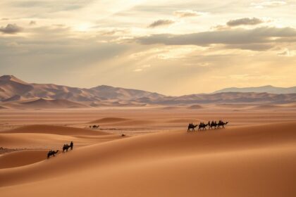 Largest Desert in Asia NYT