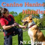 Canine Handler NYT Crossword