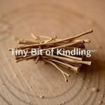 Tiny Bit of Kindling NYT