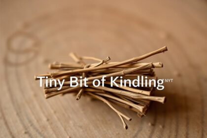 Tiny Bit of Kindling NYT