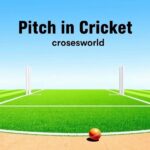 Pitch in Cricket Crossword Clue