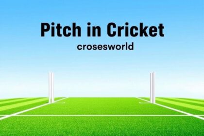 Pitch in Cricket Crossword Clue